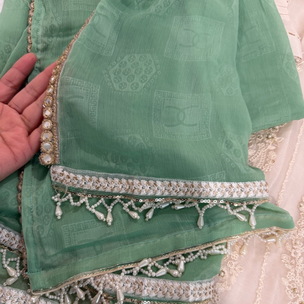 Agha noor dress - Picture 8 of 9